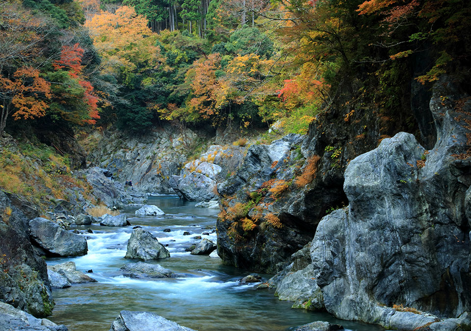 多摩でみつけた自然部門優秀賞　photoito188さんの作品「秋色の渓谷」