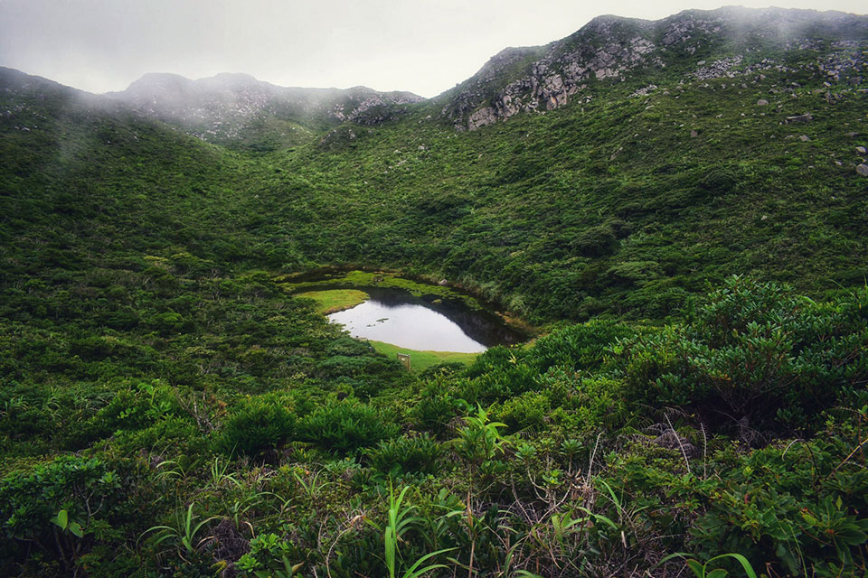 島でみつけた自然部門優秀賞　ナベちゃんさんの作品「霧中、山の上、木々と幻の池」
